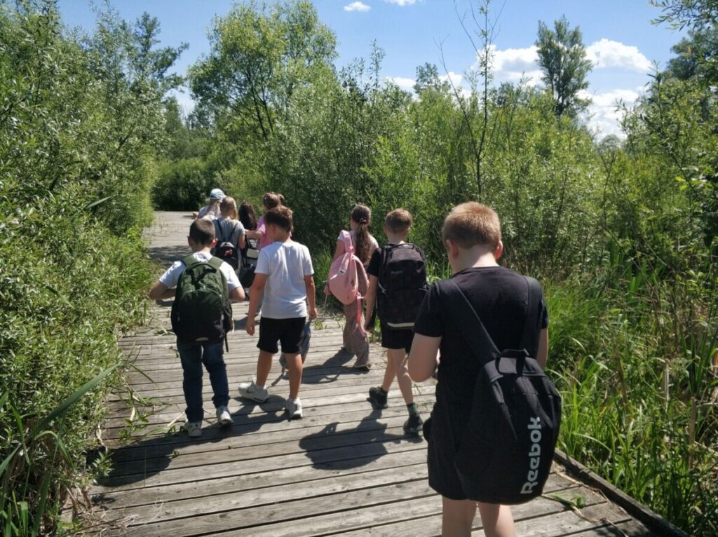 Img 20250602 113221
