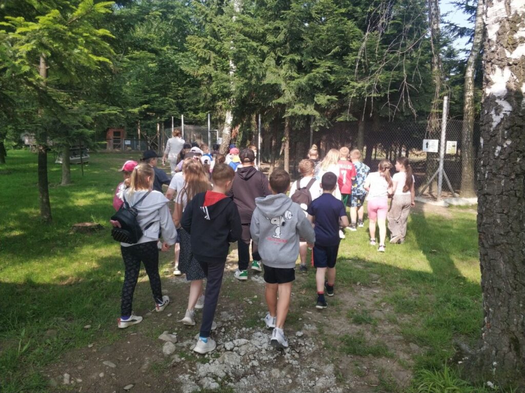 Img 20250610 090308