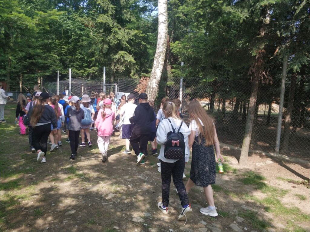 Img 20250610 090321