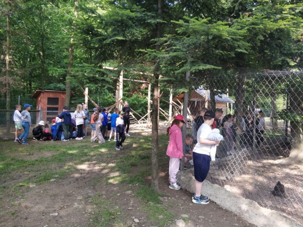 Img 20250610 090558