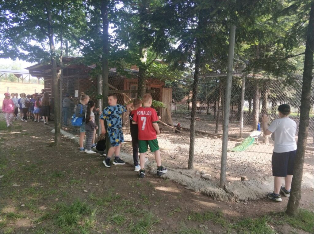 Img 20250610 090710