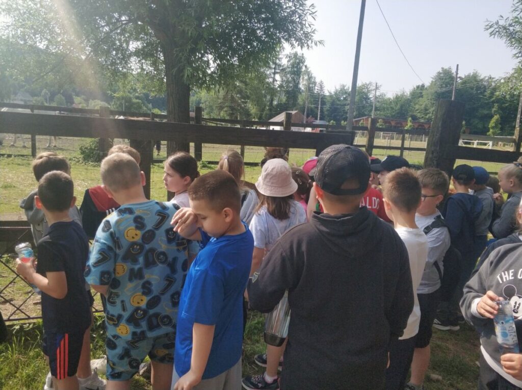 Img 20250610 091428
