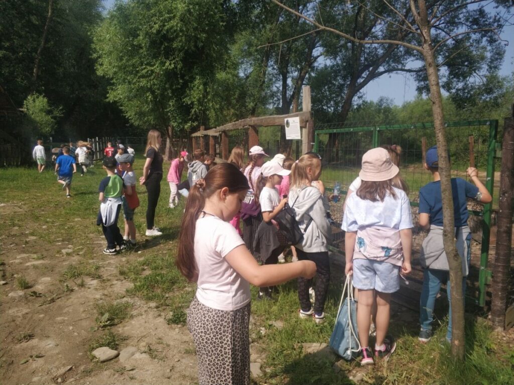 Img 20250610 093419