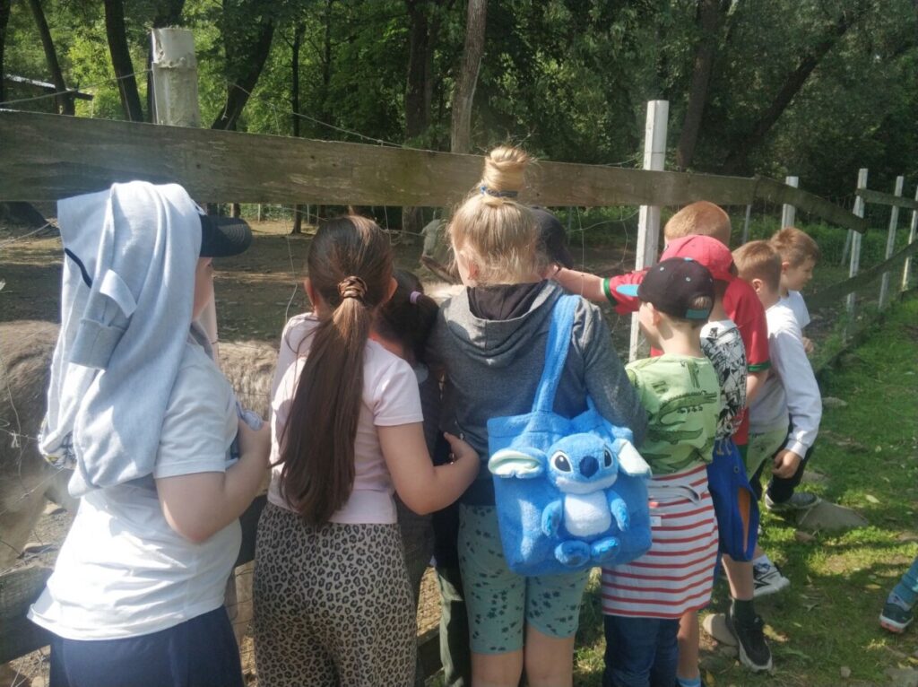 Img 20250610 093850