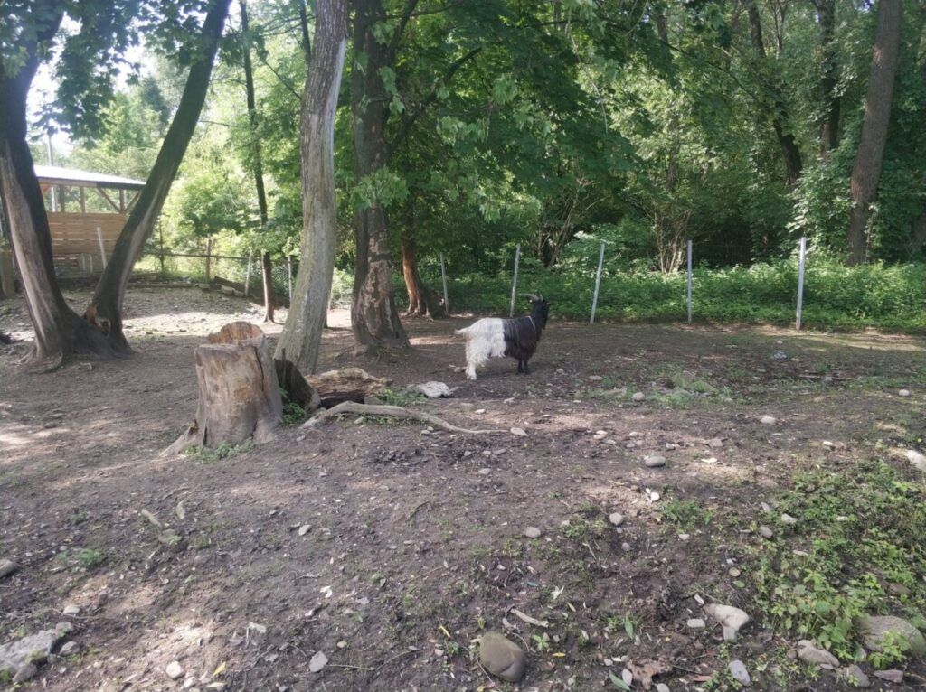 Img 20250610 093936