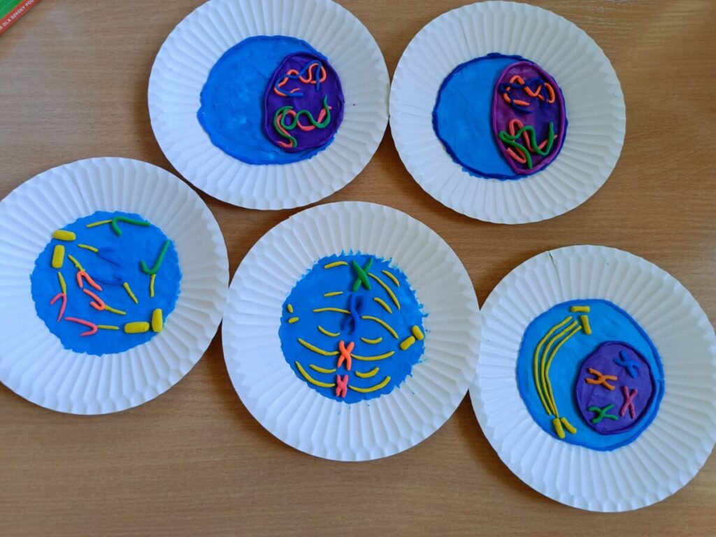 Whatsapp Image 2025 11 16 At 17.15.02 11