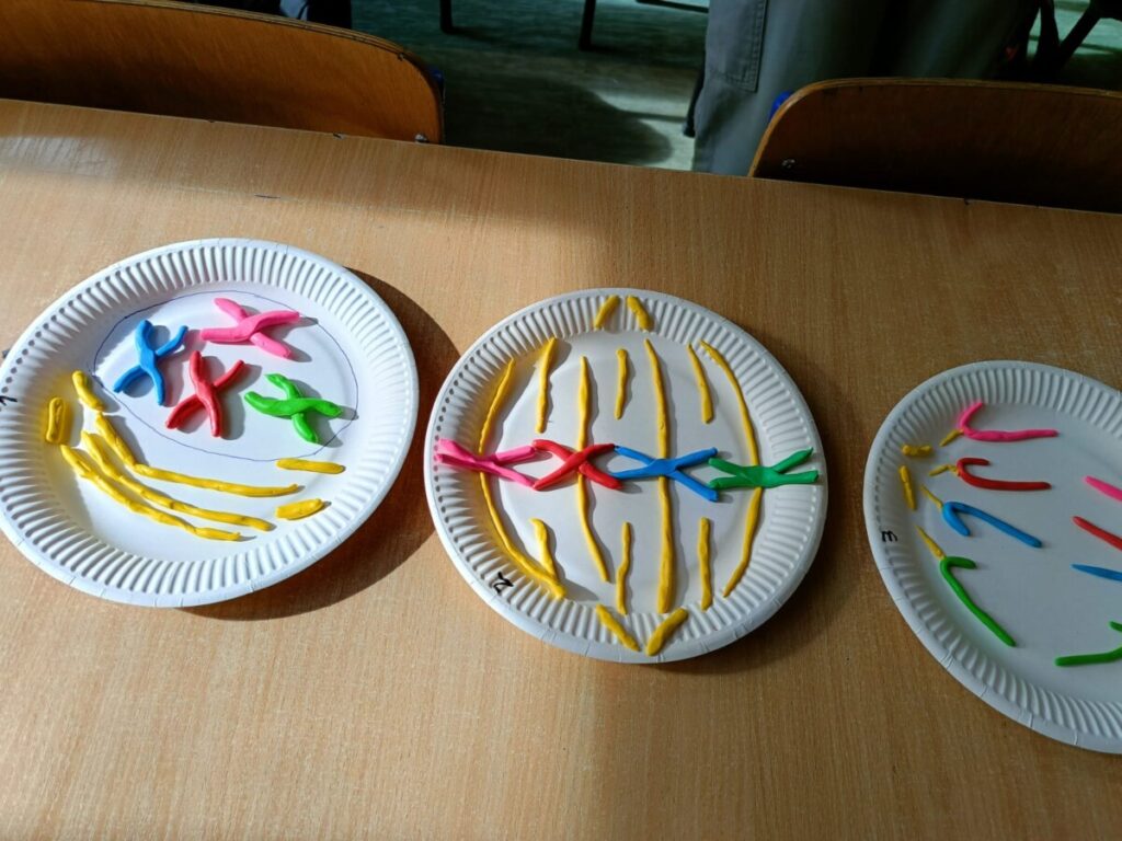 Whatsapp Image 2025 11 16 At 17.15.02 2