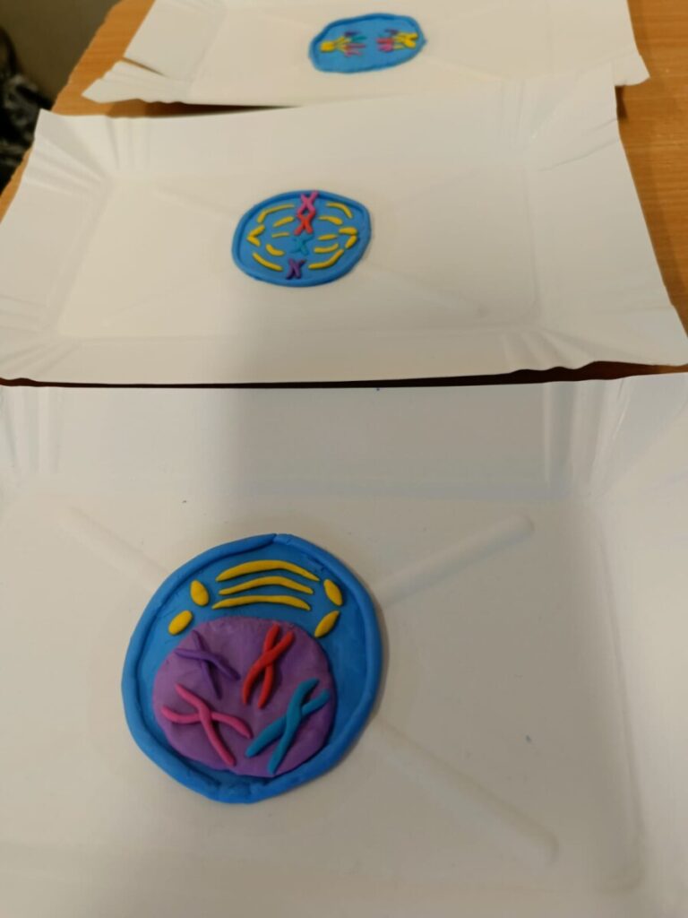 Whatsapp Image 2025 11 16 At 17.15.02 9